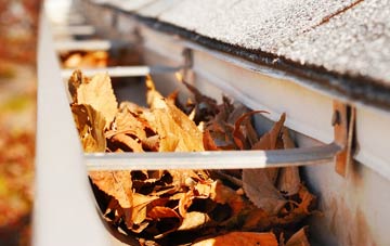 East Pulham gutter cleaning companies