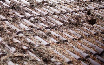 East Pulham roof cleaning companies