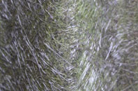 East Pulham fibreglass roof work